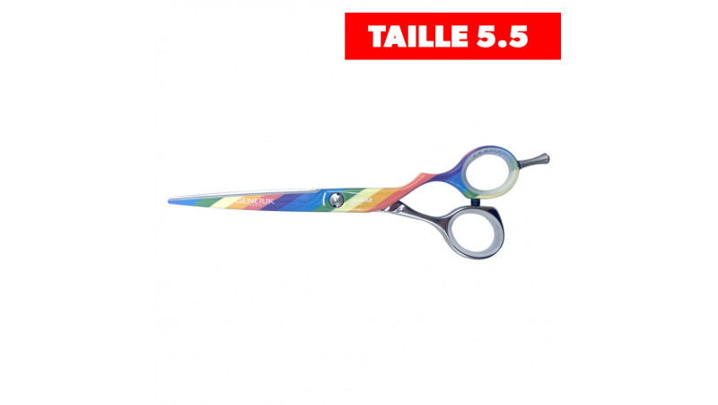 Ciseaux droit LGBT -Silver Line - Taille 5.5